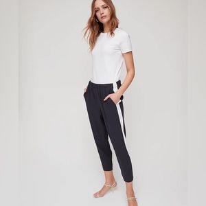 Babaton Aritzia Dexter Dress Pant